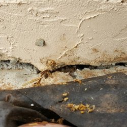 Silver Springs Pool & Spa - Concrete patch added to close off gap from view