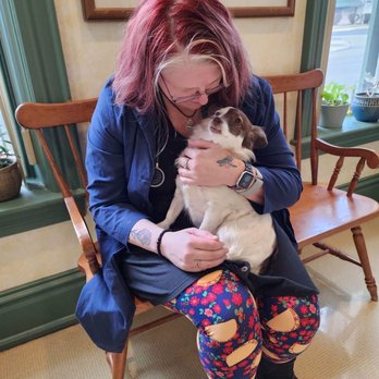 Hanover Veterinary Hospital - Dr. Jennifer Mosier, owner - Veterinarians Near Me - Hanover, Pennsylvania Hanover Veterinary Hospital - Dr. Jennifer Mosier, owner - Veterinarians Near Me - Hanover, Pennsylvania