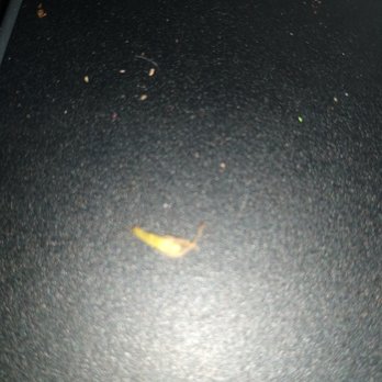China King Buffet - a banana on the floor - Chinese Near Me - Glasgow, Kentucky China King Buffet - a banana on the floor - Chinese Near Me - Glasgow, Kentucky