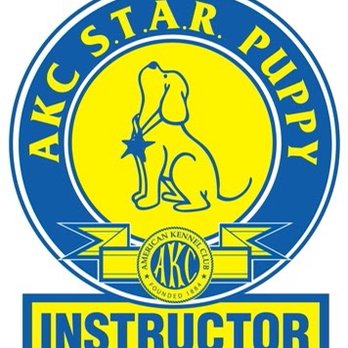 Baltimore k9 Tutors - AKC Star Puppy Instructor: Blue & Yellow badge with puppy wearing a medal at center - Pet Training Near Me Baltimore k9 Tutors - AKC Star Puppy Instructor: Blue & Yellow badge with puppy wearing a medal at center - Pet Training Near Me