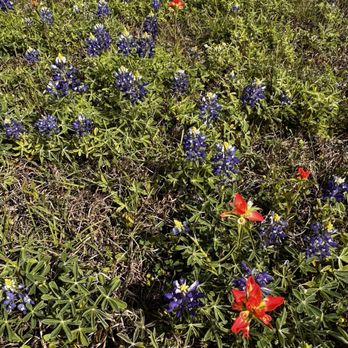 Brenham Texas - Hotels Near Me - Brenham, Texas Brenham Texas - Hotels Near Me - Brenham, Texas