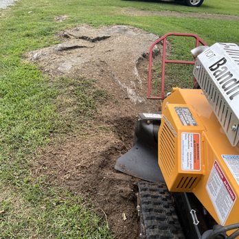 Wades Tree And Stump Removal - Grinding - Tree Services Near Me Wades Tree And Stump Removal - Grinding - Tree Services Near Me