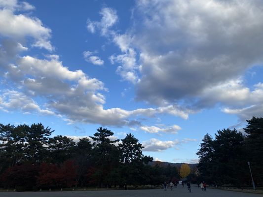 Kyoto Imperial Palace by null