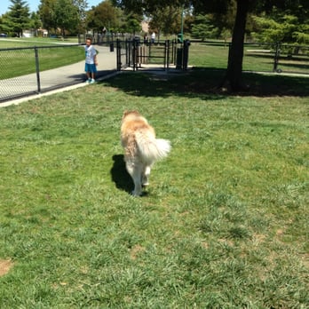 Marlin Pound Neighborhood Park - Only tae to play with ): - Dog Parks Near Me - Livermore, California Marlin Pound Neighborhood Park - Only tae to play with ): - Dog Parks Near Me - Livermore, California