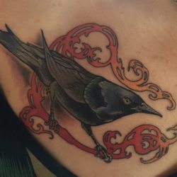 Black Moth Collective Tattoo - Tattoo done by: Hanz Zarate