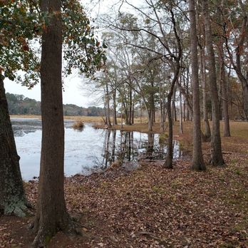 Whitewater Creek Park - Parks Near Me - Oglethorpe, Georgia