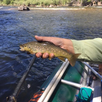 Dragonfly Anglers - Float Trips are a blast - Tours Near Me - Crested Butte, Colorado