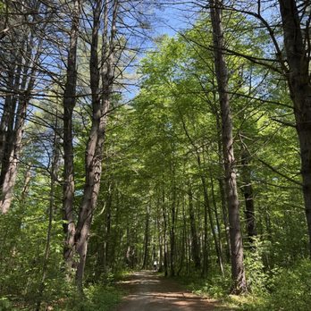 Seva Studio - Moving meditations in the forest . - Yoga Near Me - Dorset, Vermont Seva Studio - Moving meditations in the forest . - Yoga Near Me - Dorset, Vermont