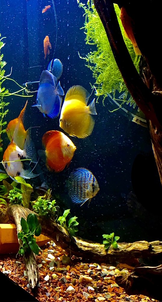 BIG AL’S LONDON Updated September 2024 Request Information 920