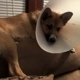 Bear brought home Aug 2015 my love! Bear brought home Aug 2015 my love!