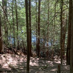 Pine & Cedar Lakes Trail - Cedar Lake approaching from woods