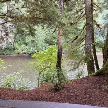 Dawleys Sol Duc River Campground - Riverview from walk in site 6 - Campgrounds Near Me - Beaver, Washington Dawleys Sol Duc River Campground - Riverview from walk in site 6 - Campgrounds Near Me - Beaver, Washington