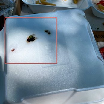 Highlands Restaurant and Lounge 289 - food left in a styrofoam container - New American Near Me - Galena, Illinois