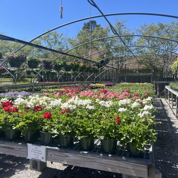 Plant Tech - Nurseries & Gardening Near Me - Baton Rouge, Louisiana Plant Tech - Nurseries & Gardening Near Me - Baton Rouge, Louisiana
