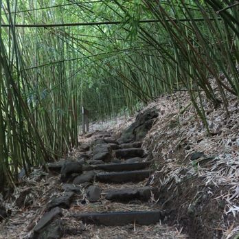Pipiwai Trail - Hiking Near Me - Hana,, Hawaii