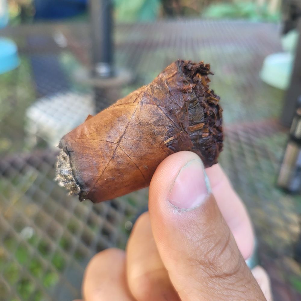 Puffs Discount Store - Solid Habano Cigar At an affordable Rate They supply good quality Cigars I definitely recommend them - Tobacco Shops Near Me - River Forest, Illinois Puffs Discount Store - Solid Habano Cigar At an affordable Rate They supply good quality Cigars I definitely recommend them - Tobacco Shops Near Me - River Forest, Illinois
