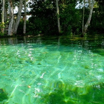 Three Sisters Springs - Natural beauty - Tours Near Me - Crystal River, Florida Three Sisters Springs - Natural beauty - Tours Near Me - Crystal River, Florida