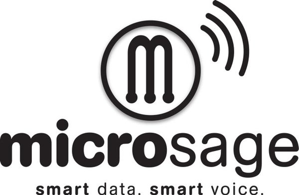 Microsage Inc