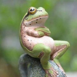 Rollin' in Dough - Frog