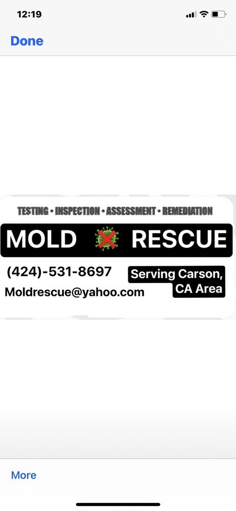 MOLD RESCUE - Updated April 2024 - Carson , California - Environmental ...