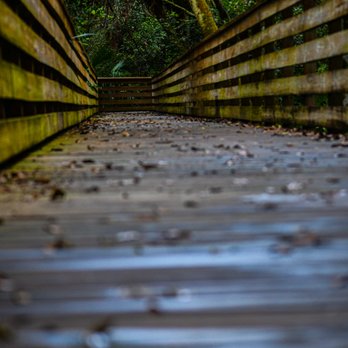 Green Cay Nature Center - Aesthetic Walkway - Local Flavor Near Me - Boynton Beach, Florida