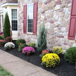 Gene's Evergreens