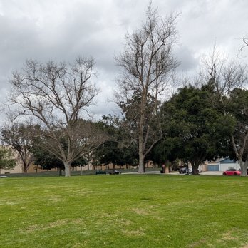 Eucalyptus Park - Trees in the park - Parks Near Me - Cypress, California