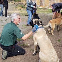 Alaska Dog Boarding & Training - Pack training with Mark and Brigitte.