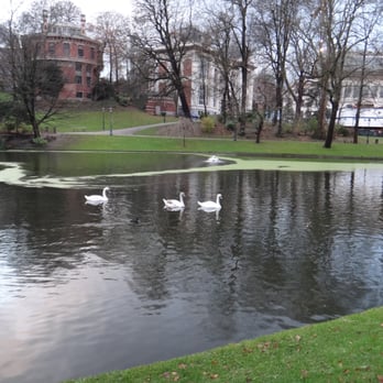 Parc Léopold - Swans on the lake. - Parks Near Me - Etterbeek, BRU