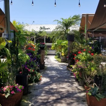 Silver Dolphin - Outdoor seating - American Near Me - Hernando Beach, Florida