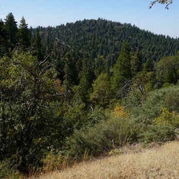 Heaps Peak Arboretum - View from the path is beauitful - Botanical Gardens Near Me - Lake Arrowhead, California Heaps Peak Arboretum - View from the path is beauitful - Botanical Gardens Near Me - Lake Arrowhead, California