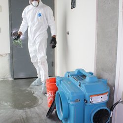 Disaster Response of Lewiston, Idaho - Microbial Remediation