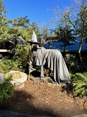 Northwest Trek Wildlife Park by null