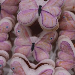 Sugar N Spice Fairy Bakes