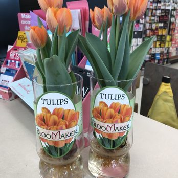 Walgreens - two vases with tulips in them - Drugstores Near Me - Deerfield Beach, Florida