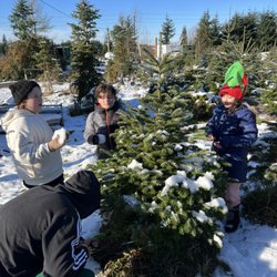 Pfaff's Old Time Christmas Tree and Pumpkin Farm