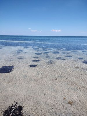 Crandon Park by null