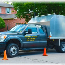 Alexander Tree Care