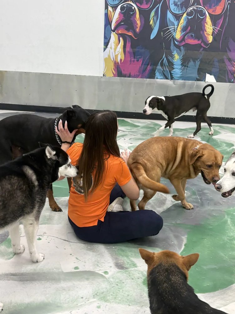 K9 Rox Club, Las Vegas