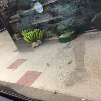 Petco - Pet Stores Near Me - Westminster, California Petco - Pet Stores Near Me - Westminster, California