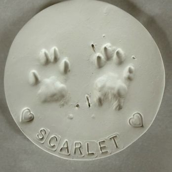 Peaceful Paws - Paw prints taken in home - Veterinarians Near Me - Soquel, California