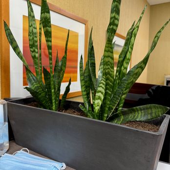 Dade W. Donovan, DC - Inside - Chiropractors Near Me - San Mateo, California Dade W. Donovan, DC - Inside - Chiropractors Near Me - San Mateo, California