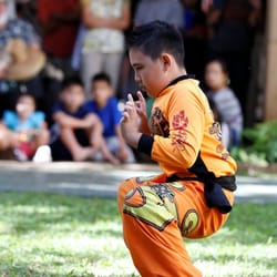 Gee Yung Int'l Martial Arts Dragon & Lion Dance Association - Gee Yung Martial Arts Lion Dance - CNY Honolulu Museum of Arts Focus