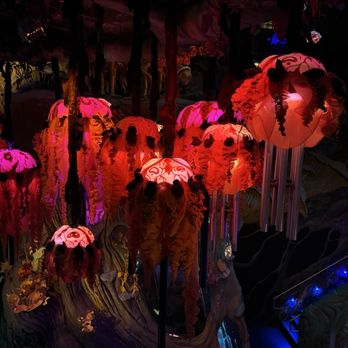 Meow Wolf - Venues & Event Spaces Near Me - Denver, Colorado