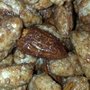 Nutty World