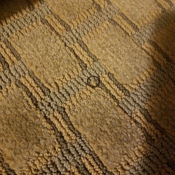 Comfort Suites - Orthodontic rubber band on floor so wasn't vacuumed - Hotels Near Me - Prescott Valley, Arizona