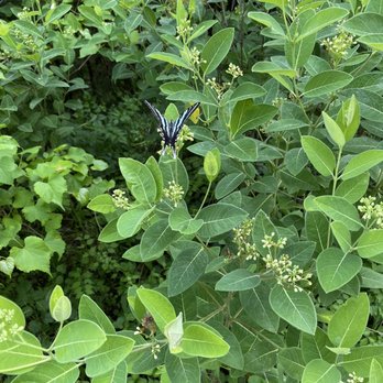 High Bridge Trail State Park - Beautiful wildlife! - Hiking Near Me High Bridge Trail State Park - Beautiful wildlife! - Hiking Near Me