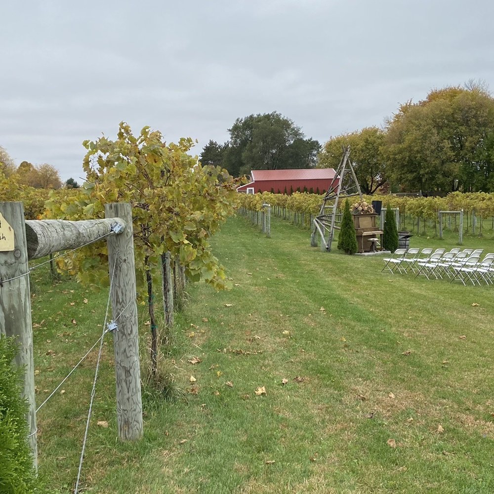 Whistlers Knoll - Vineyard wedding venue - Wineries Near Me - Hortonville, Wisconsin