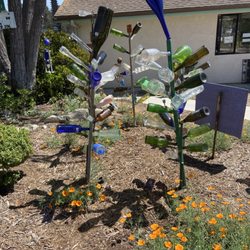The Luffa Farm - Bottle garden