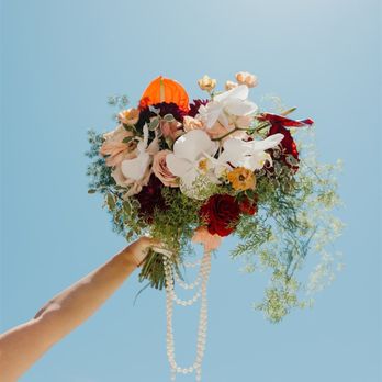 My Wedding Songbird - Wedding Planning Near Me My Wedding Songbird - Wedding Planning Near Me